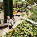 Tuintips vragen - uitgelichte afbeelding - Detuinmachine.nl