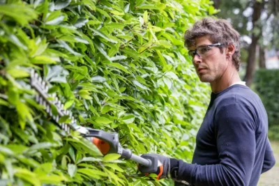 detuinmachine.nl - Wanneer kies ik voor een benzine, accu of elektrische heggenschaar?
