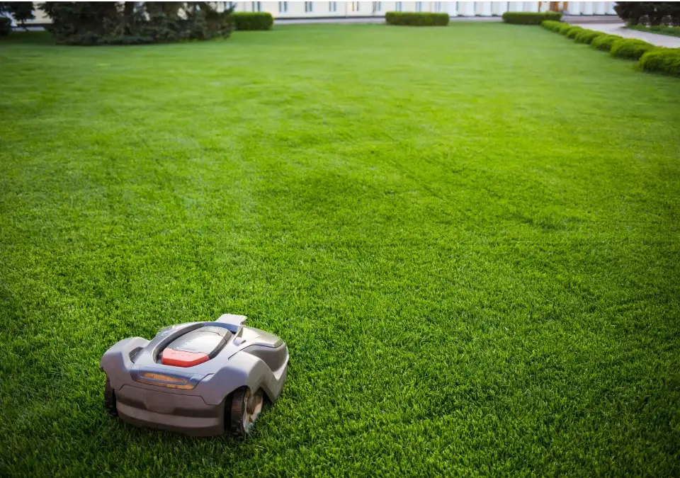 Husqvarna Robotmaaier die grasveld aan het maaien is - Detuinmachine.nl