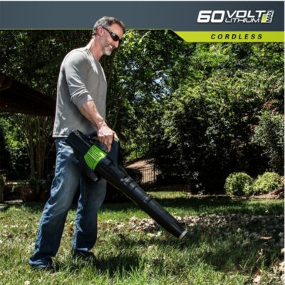 Greenworks 60 volt Accu Bladblazer GD60AB