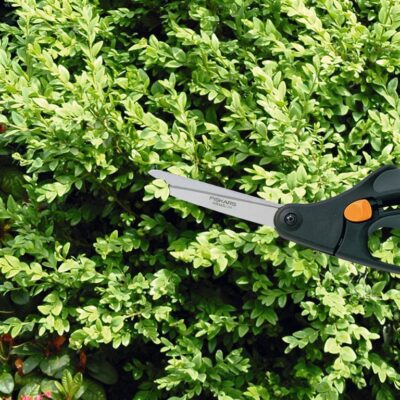 Fiskars Buxus schaar S50