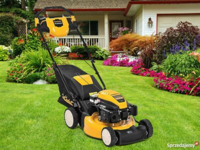 cub cadet LM2