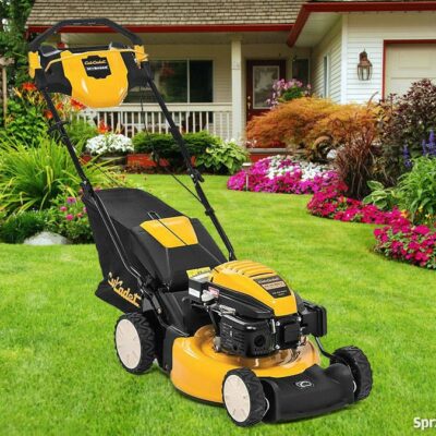 cub cadet LM2