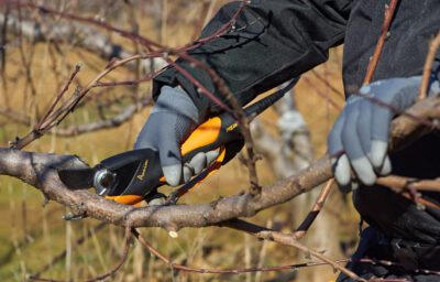 Pellenc Prunion 250 Accu Snoeischaar gebruik