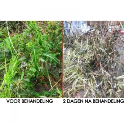 WeedSOLUTION voor en na de behandeling