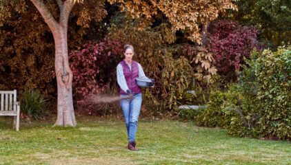 Gazononderhoud in de herfst