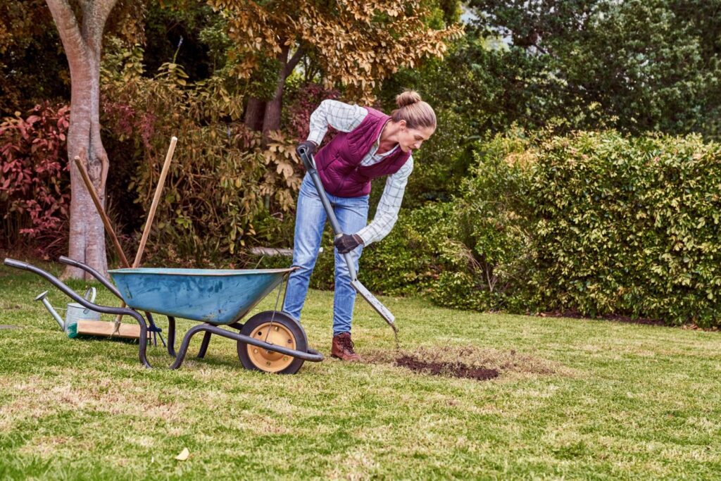 Gras reparatie herfst