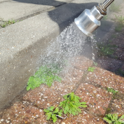 Meclean WeedPlus serie-B Hogedrukreiniger + Onkruidbestrijding - Afbeelding 4
