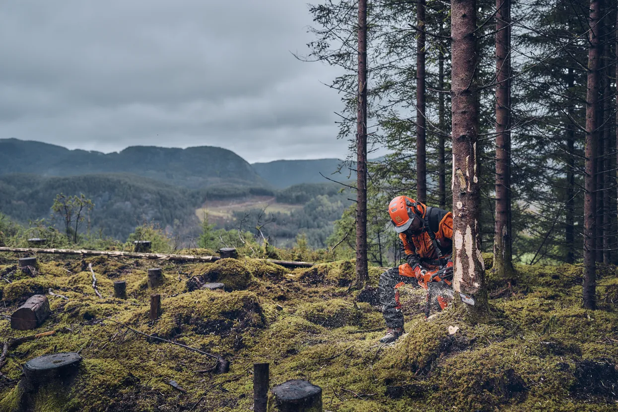 detuinmachine.nl - Husqvarna 540 XP® Mark III