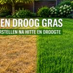 detuinmachine.nl - dor gras verzorgen.