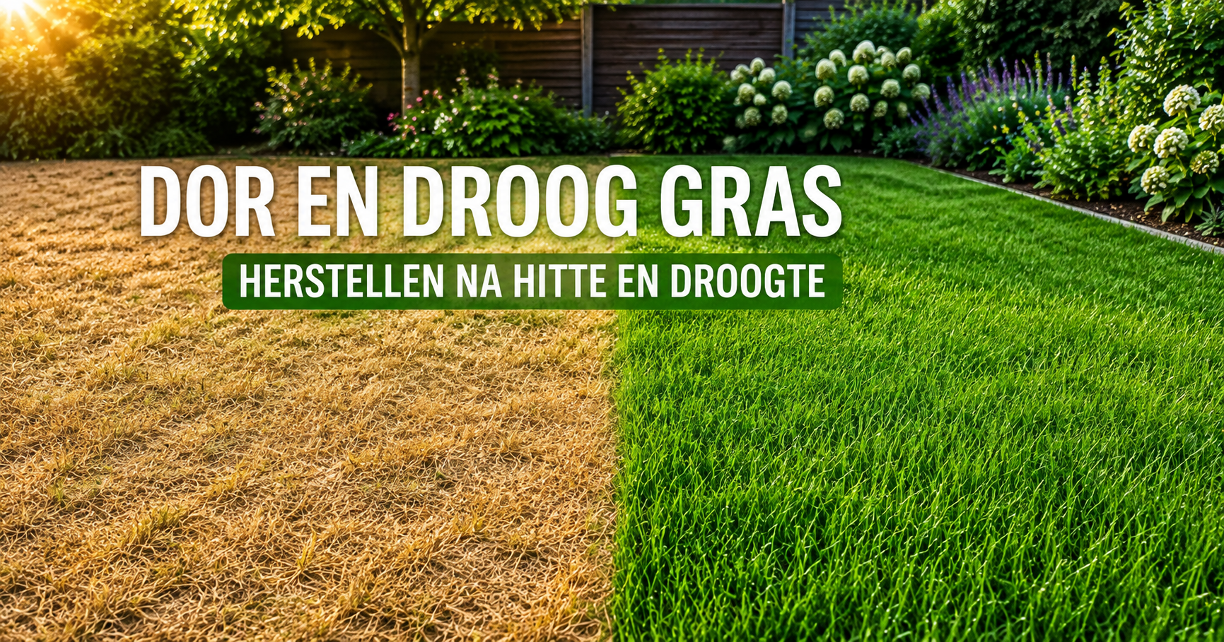 detuinmachine.nl - dor gras verzorgen.
