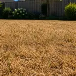 detuinmachine.nl - droog-gazon-